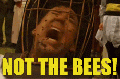 Bees.gif